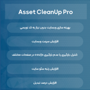 افزونه افزایش سرعت و بهینه سازی کلین آپ پرو | wp asset cleanup pro